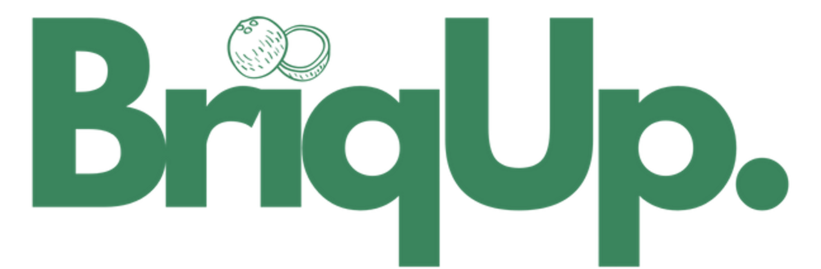 BriqUp Logo